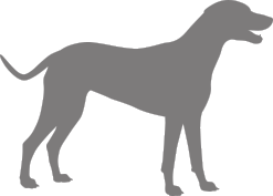 Dog outline